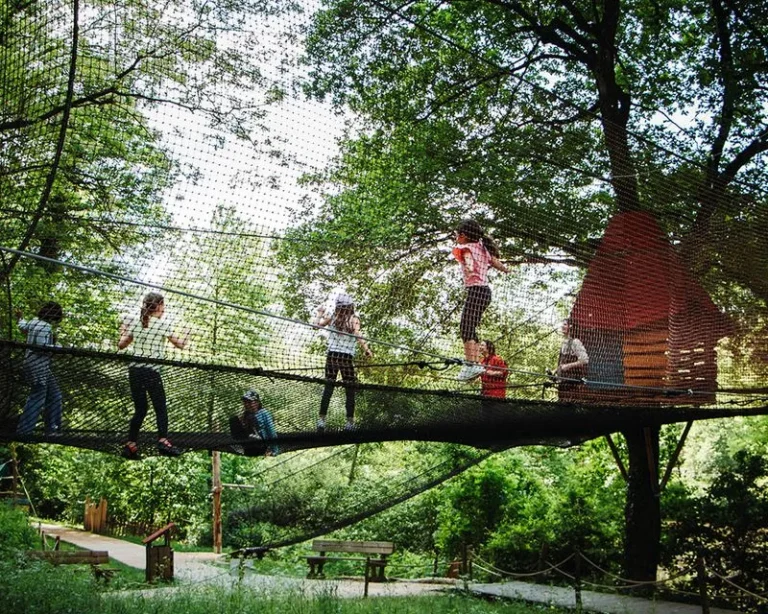 Enfants sur la grande mer de filet, dans les arbres